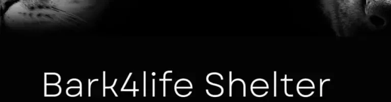 Hilfe für die Hunde im Bark4Life Shelter Header