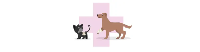 Rette Leben – Unterstütze bei den Tierarztkosten! Header