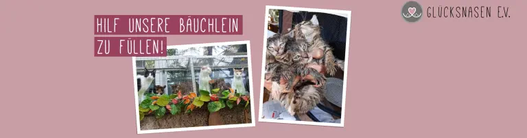 Futterspenden für den Winter Header