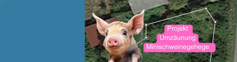 Umzäunung Minischweingehege Header