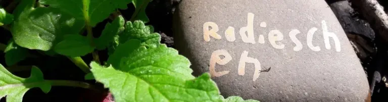 Gartengräte für das "Grüne Klassenzimmer" Header