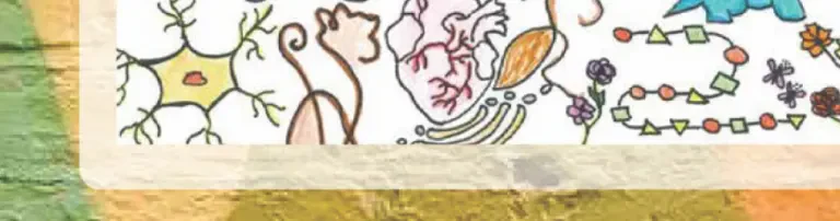 Allende-Hausaufgabenheft 2024/2025 Header