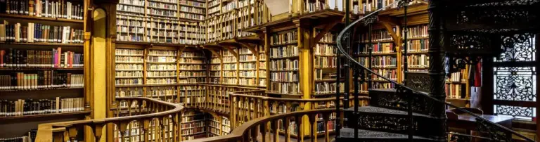 Unsere Kinder brauchen Bücher - Schulbibliothek Header