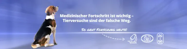 Filmprojekt zeigt das Leid verschiedener Labortiere Header