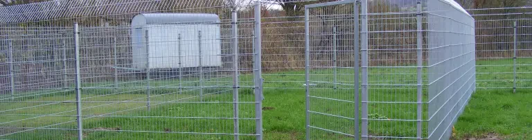 Einrichtung der Freiläufe auf dem Hundeschutzhof Header