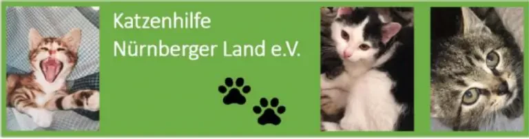 Tierarztkosten für Notfälle Header