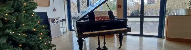 Musik mit den Ohren sehen - Restauration des historischen Schul-Flügels für blinde und sehbehinderte Kinder Header