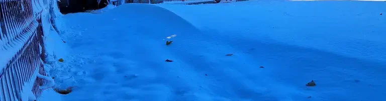 Hundefutter für den Winter Header