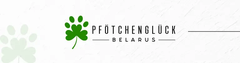 Tierschutzprojekte in Belarus (Kastrationen, Unterbringung, medizinische Versorgung) Header