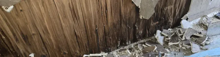 Sanierung unserer Hundezimmer Header