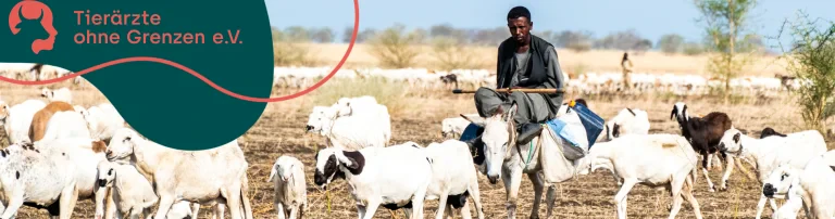 Soforthilfe für die Menchen im Sudan Header