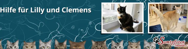 medizinische Behandlung für Lilly & Clemens Header