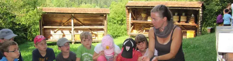 Bienen machen Schule Header