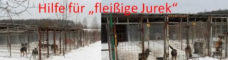 Hilfe für "fleissige Jurek" Header