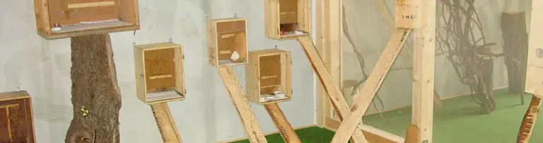 Fledermauszentrum Header