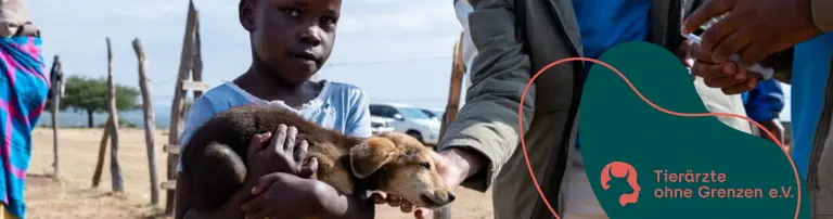 Tollwutbekämpfung in Kenia Header