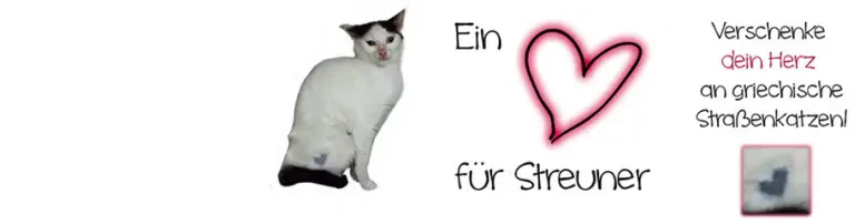 Ein Herz für Streuner - verschenke dein Herz an griechische Straßenkatzen Header