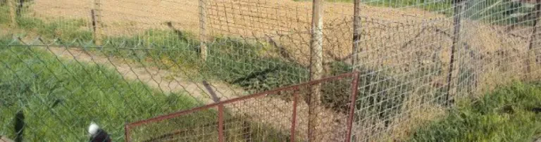 Sanierung der Hundeausläufe Teil 1 Header
