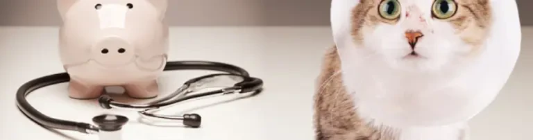 dauerhafte medizinische Betreuung Header