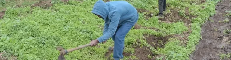 Hilfe für Afrika - Arusha's Straßenkinder Header