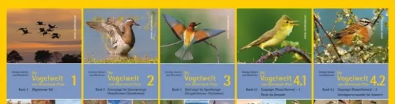 Unser Buchprojekt: Die Vogelwelt von Rheinland-Pfalz, Band 3 Header