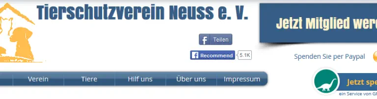 Erstellung einer neuen Homepage Header
