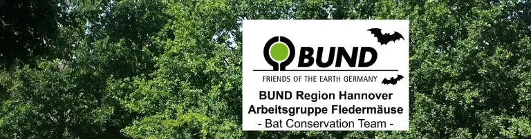 Patenschaft für eine Zweifarbfledermaus Header
