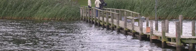 Flüchtlingskinder kommen mit auf das große Pfadfinder Sommerzeltlager Header