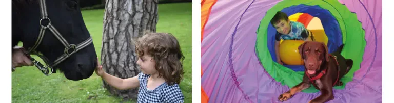 tiergestützte Kindertherapie Header
