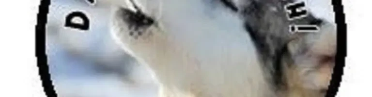 Jugendprojekt Juhuu Header
