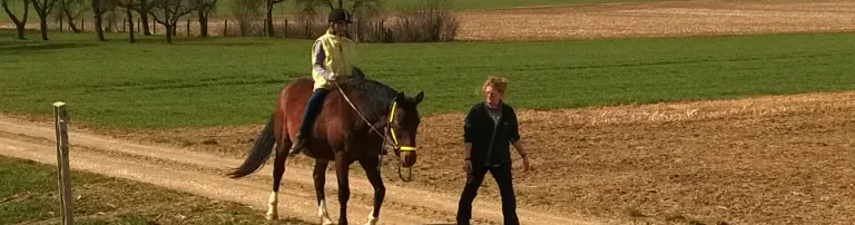 Heilpädagogisches Reiten Header
