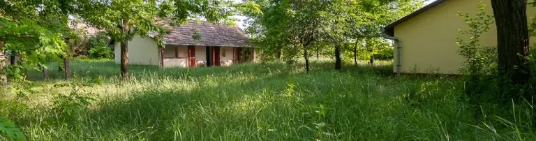 BolDog Farm Header