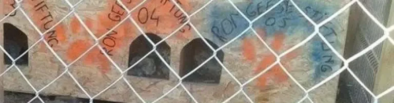 Unterstützung für das Tierheim -Animals in need Romania- Header