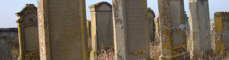 Netz Jüdischer Friedhof Rödelsee Header