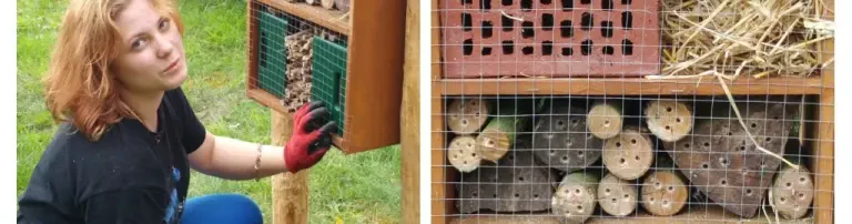 Materialien für den Bau eines Insektenhotels der NABU Kindergruppe des Arche Naturhof Buschwiesen Header