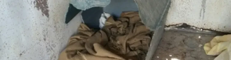 Warme Hütte für frierende Fellnasen Header