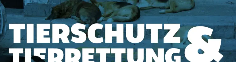 Kastrationskampagnen 2021 Header