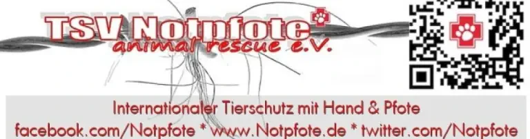 Senioren für Senioren - Das Notpfote-Gnadenplatz-Projekt Header