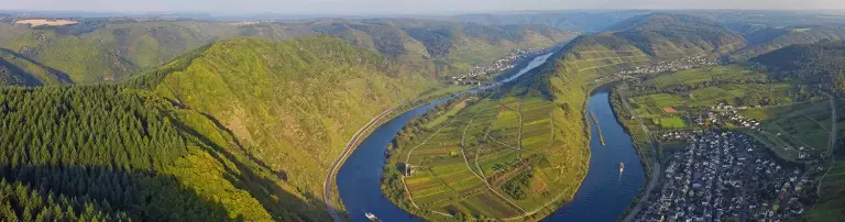Unser Buchprojekt: Die Vogelwelt von Rheinland-Pfalz, Band 4 Header