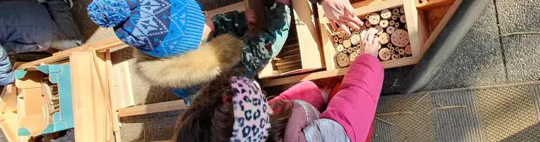 Kindergruppen fördern – Natur erleben und verstehen Header