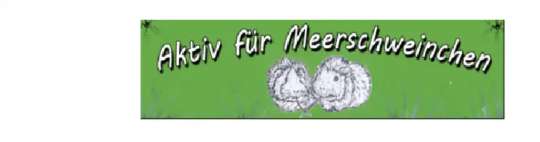 Behandlungskosten Notmeerschweinchen / Kastrationen (Behandlung aufgenommene ausgesetzte Meerschweinchen) Header