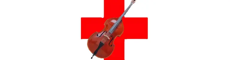 KONTRABASS-REPARATUR Header