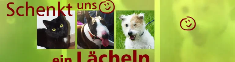 Schenkt uns ein Lächeln Header