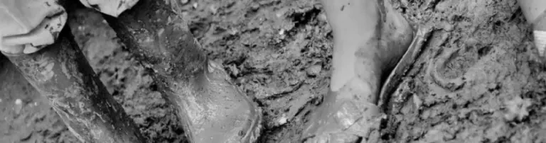 Kinder in Rumänien Header