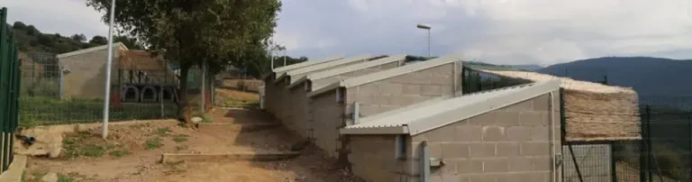 Beteiligung Tierarztkosten FLIP Header