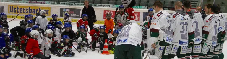 Zukunft Eishockey Header