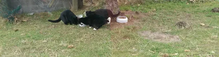 Futterstellen Header
