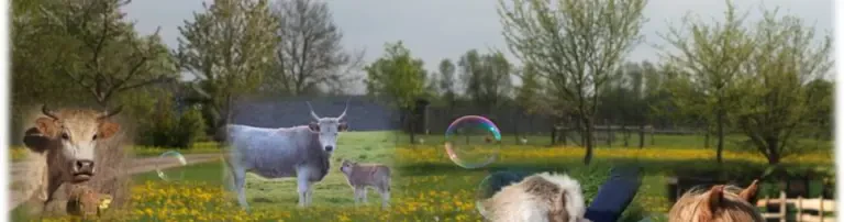 Erhaltung vom Aussterben bedrohter Haustierrassen Header