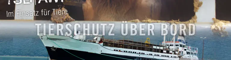 Tiertransporte international in der EU und aus der EU in Drittstaaten Header