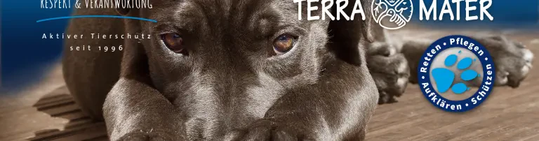 Aktiver Tierschutz - bundesweit - seit 1996 Header